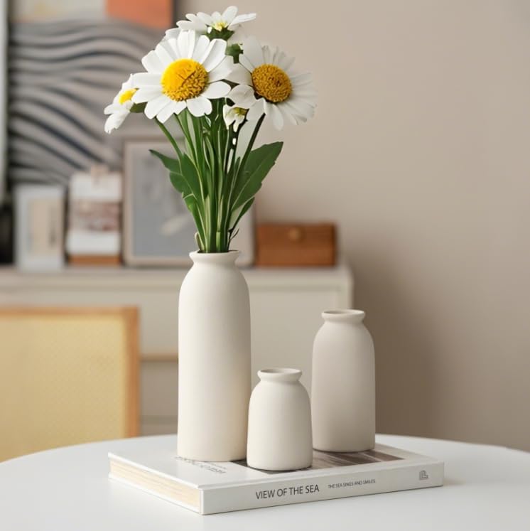 Ceramic Vase Set-3 (Beige)