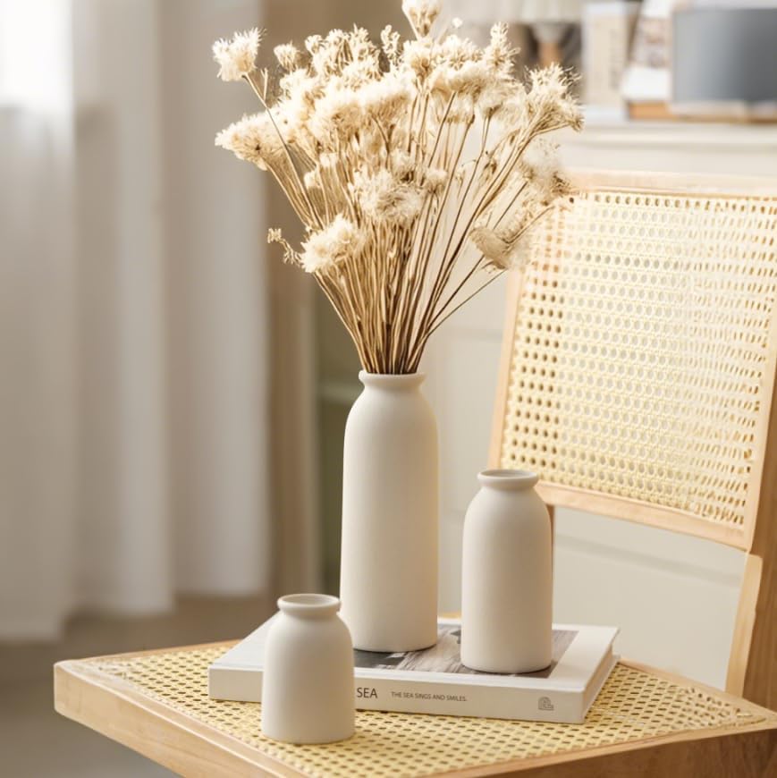 Ceramic Vase Set-3 (Beige)